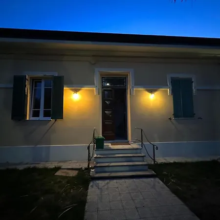 Il Tulipano *